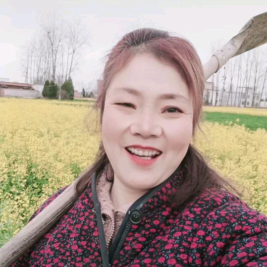宝五妈《河南》
