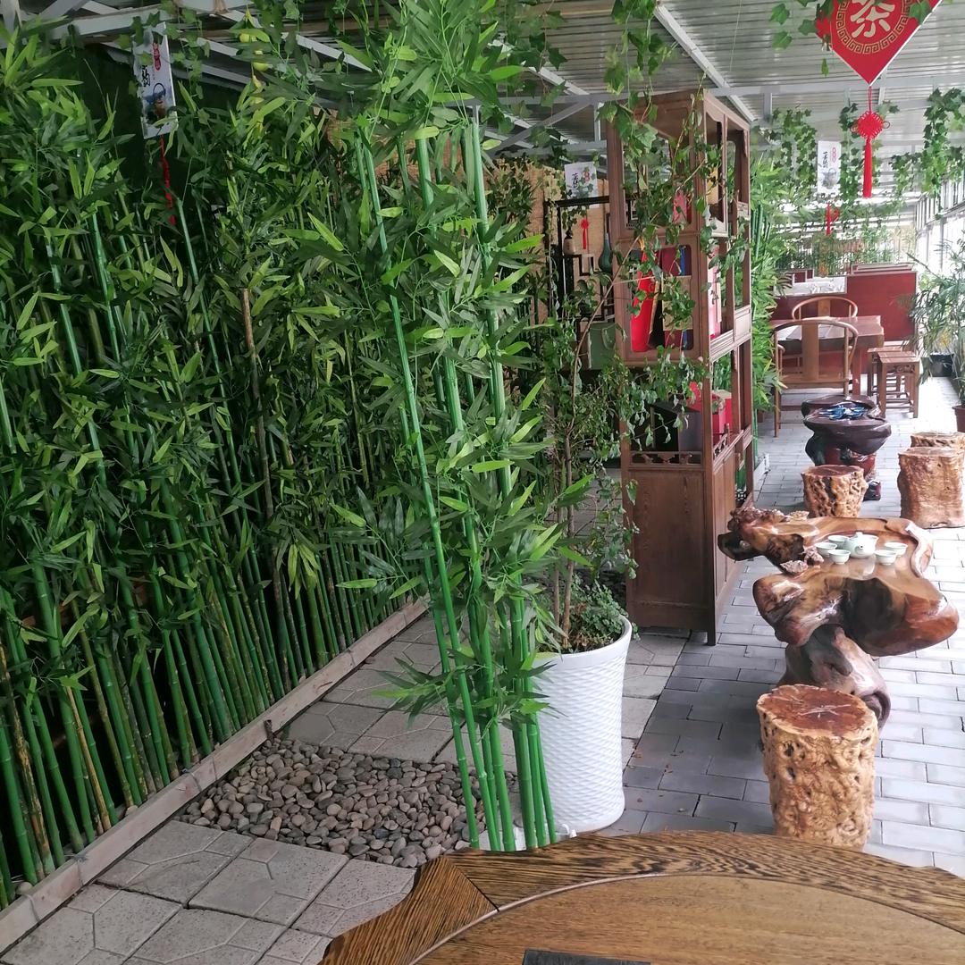 🌳宁静致远