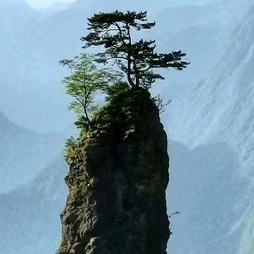 爱打领带的厨师