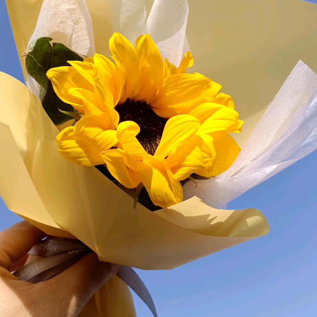 🕊ꦿᩚ最美不过初见ꦿ࿐ᩚღ【拒绝连赞】