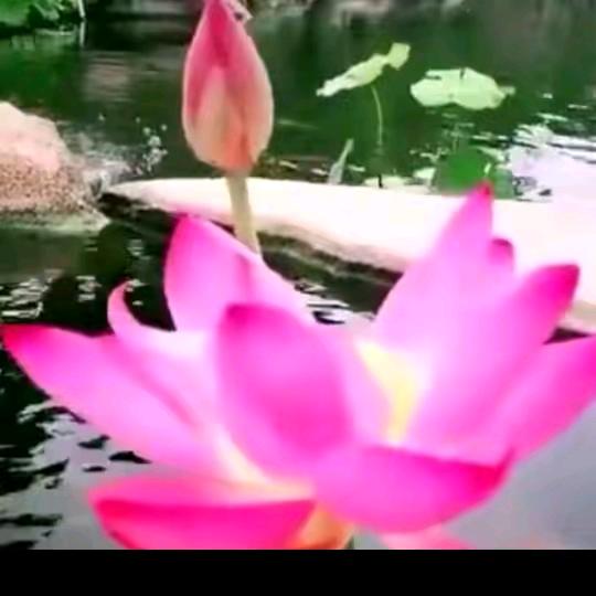 @思雨
