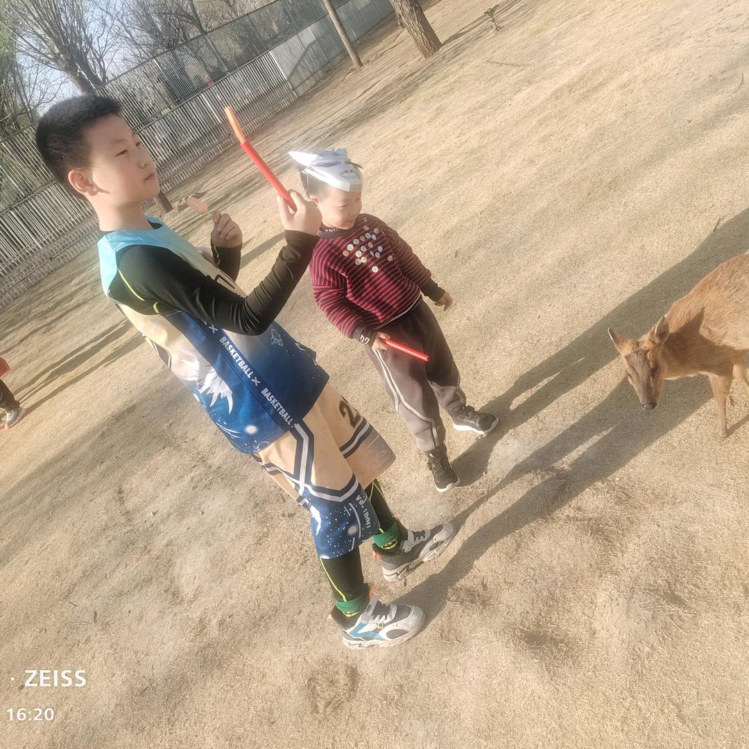珠珠姐