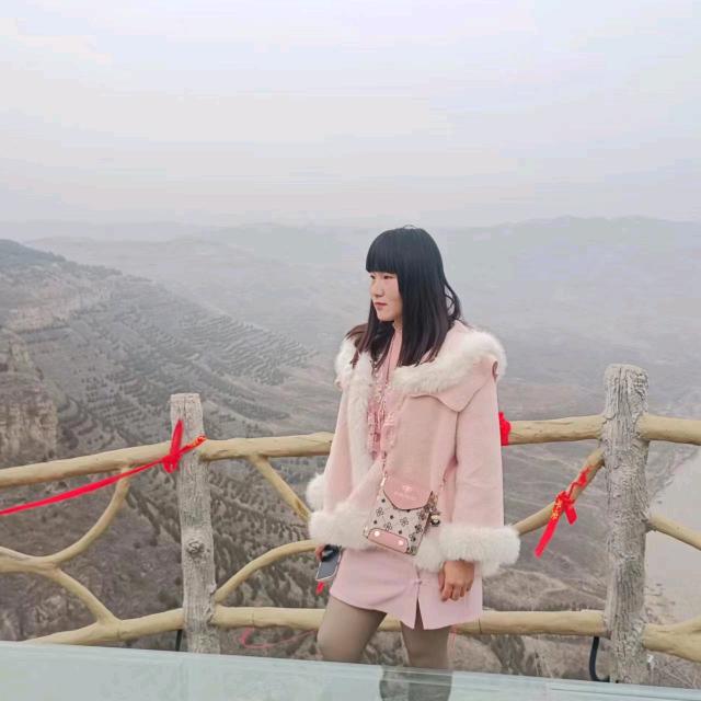迷途散了雾