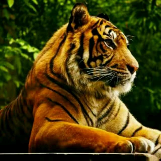 共度（杜）余生