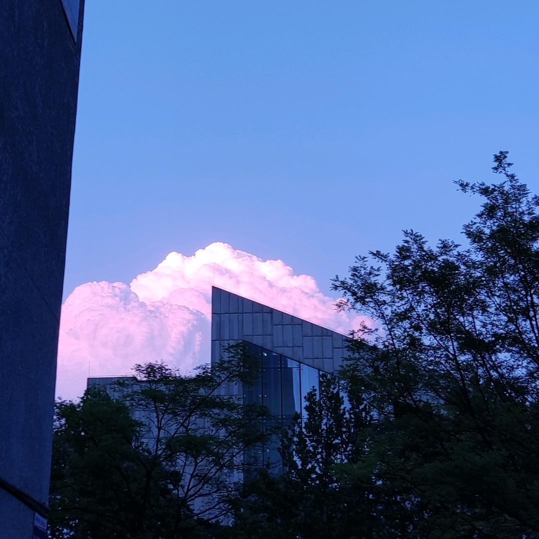 点点今天吃肉了嘛