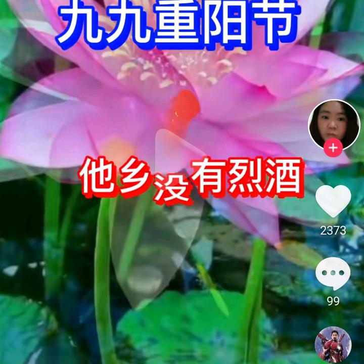 靑青草