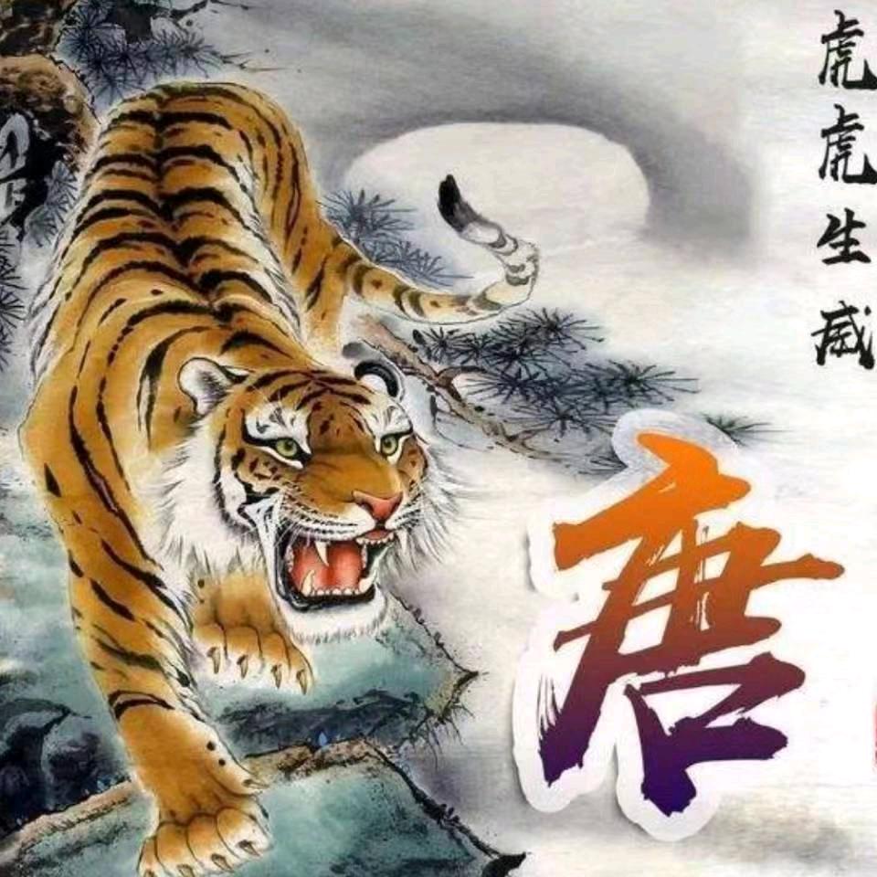 @鸭鸭￥不受控&不一样的声音