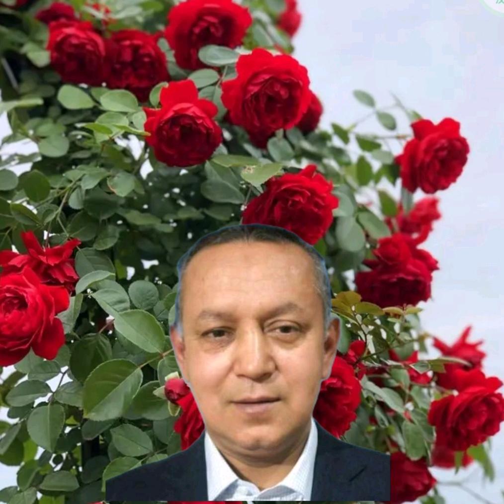 APQILAM