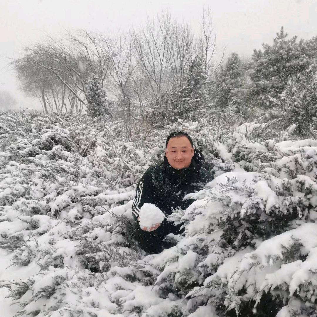 梧桐深院锁清秋