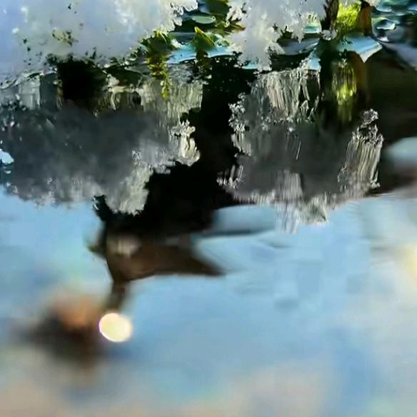 慧林小巷餐饮经营店官方号