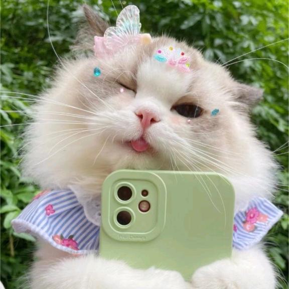 城荫尧尧ｸﾞｯ!(๑•̀ㅂ•́)و✧
