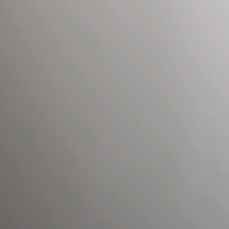 皮蛋子