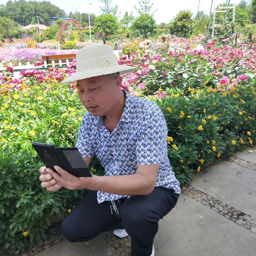 一生平安