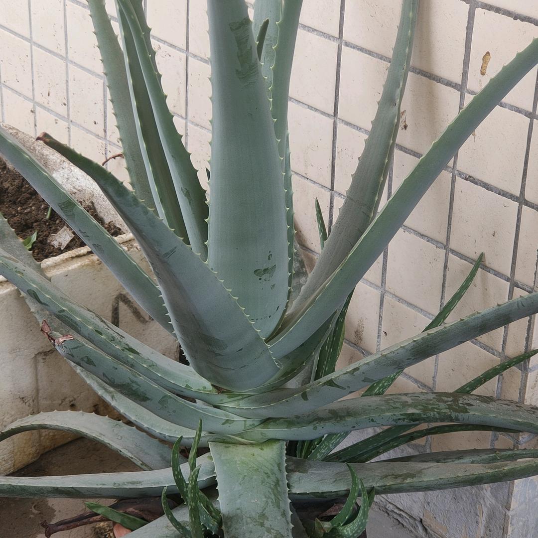 心❤碎的沉默