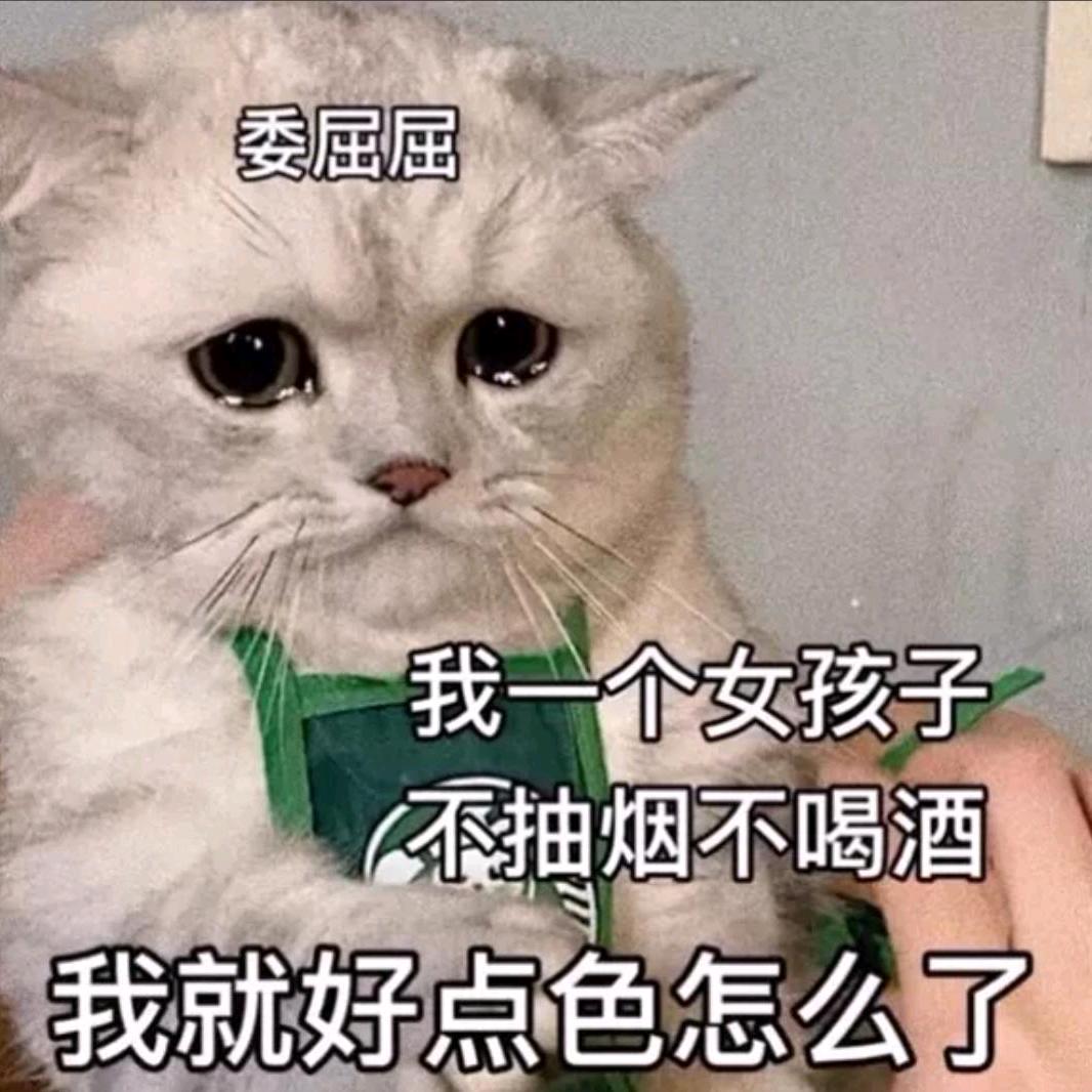 糕手小七月