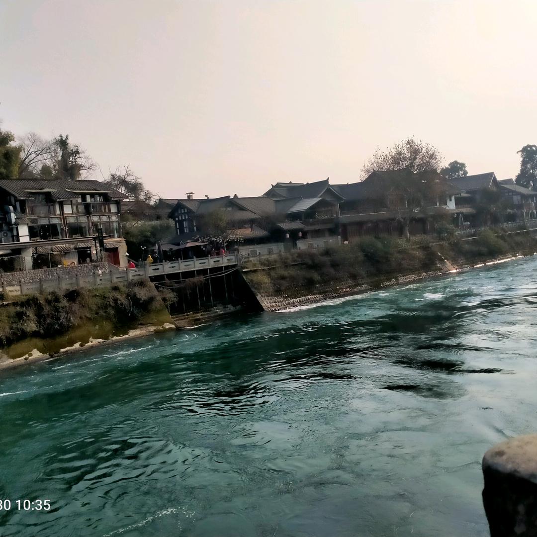 🐬🐬快乐🐬🐬