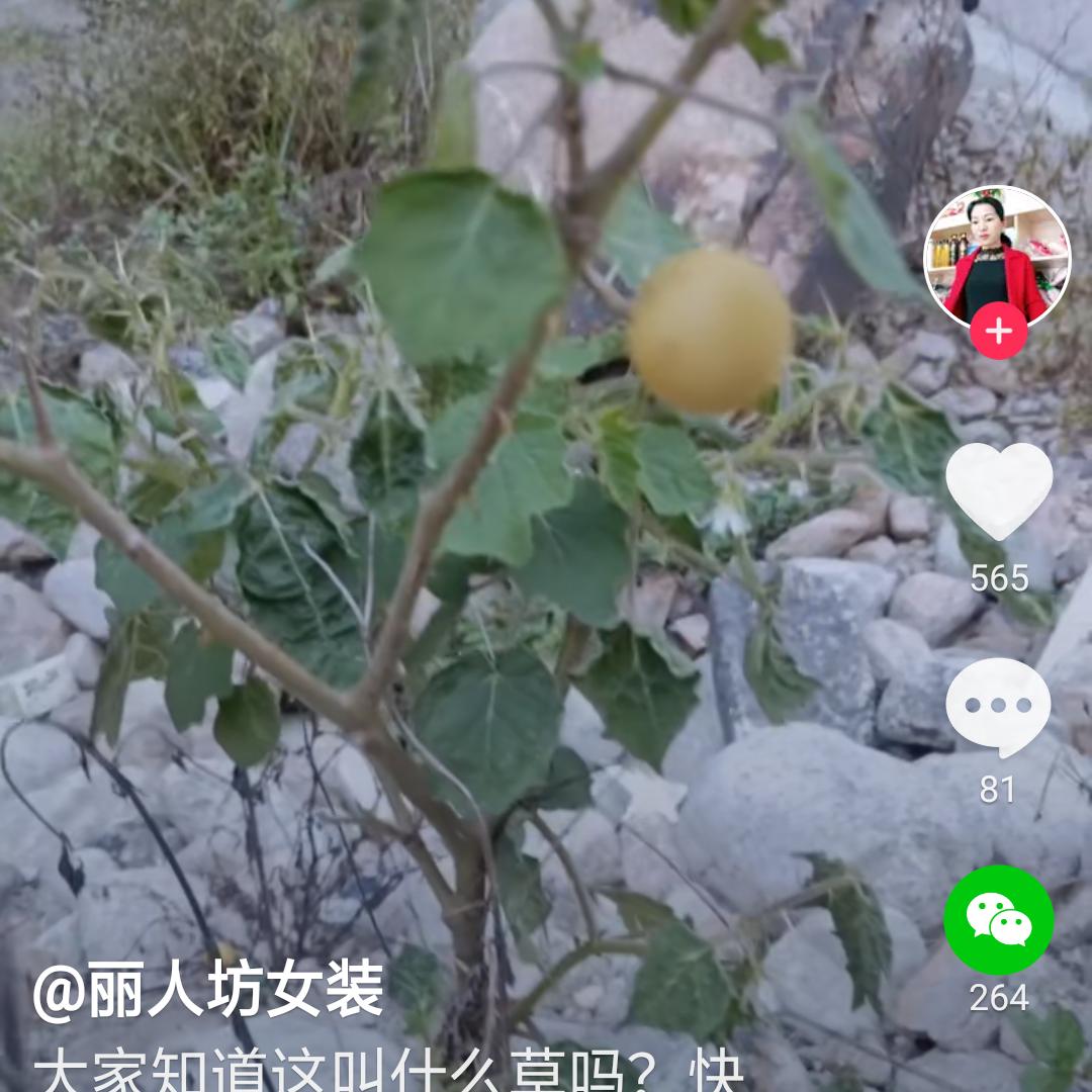 姚姐