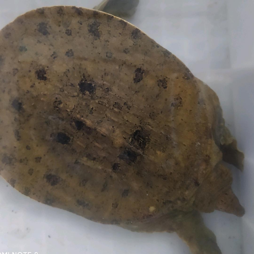 龙梅水产品经营部