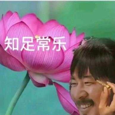 花开并不富贵