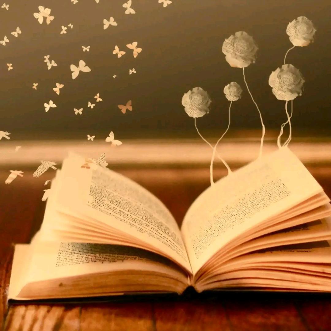 👣红红💃💃💃