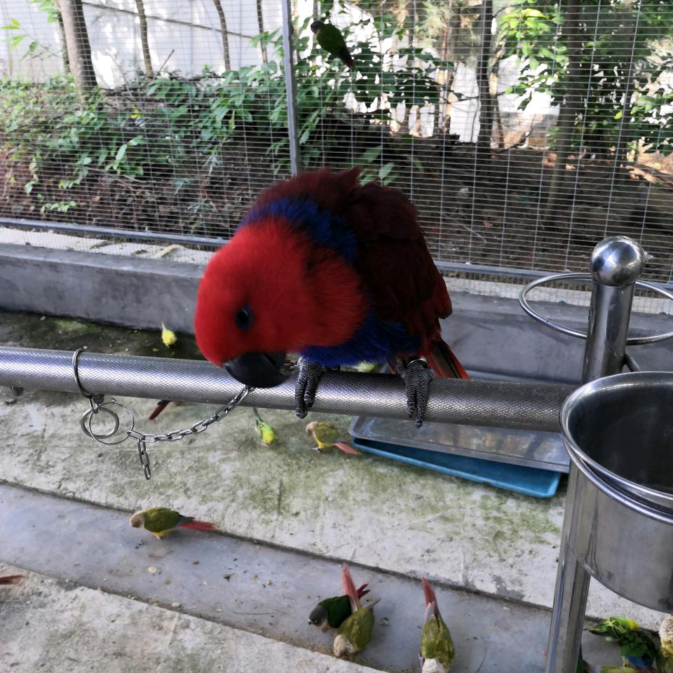 手机用户82135212447