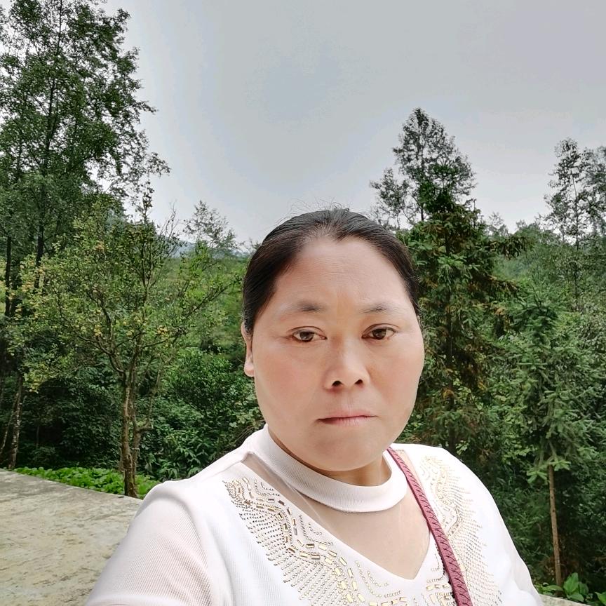 魏二妹