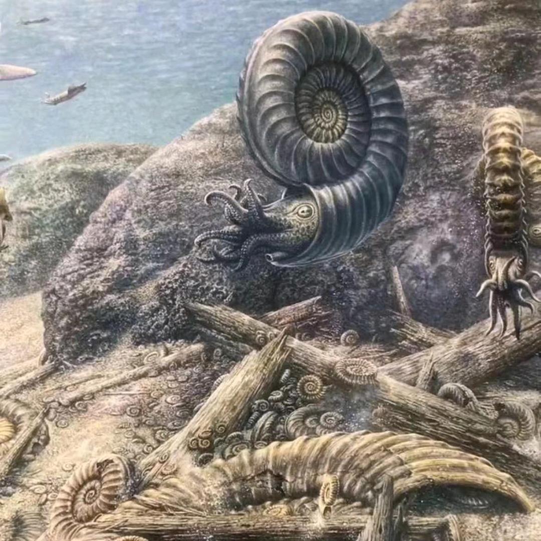 生命的旅程