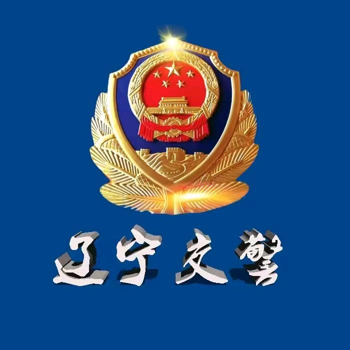 辽宁交警