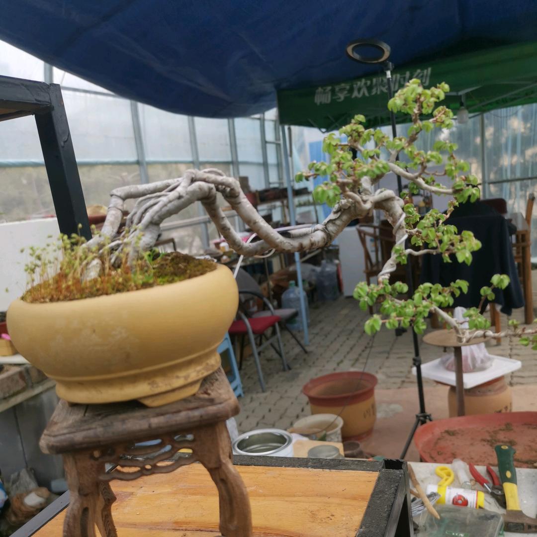 乳山～和园～清静小院