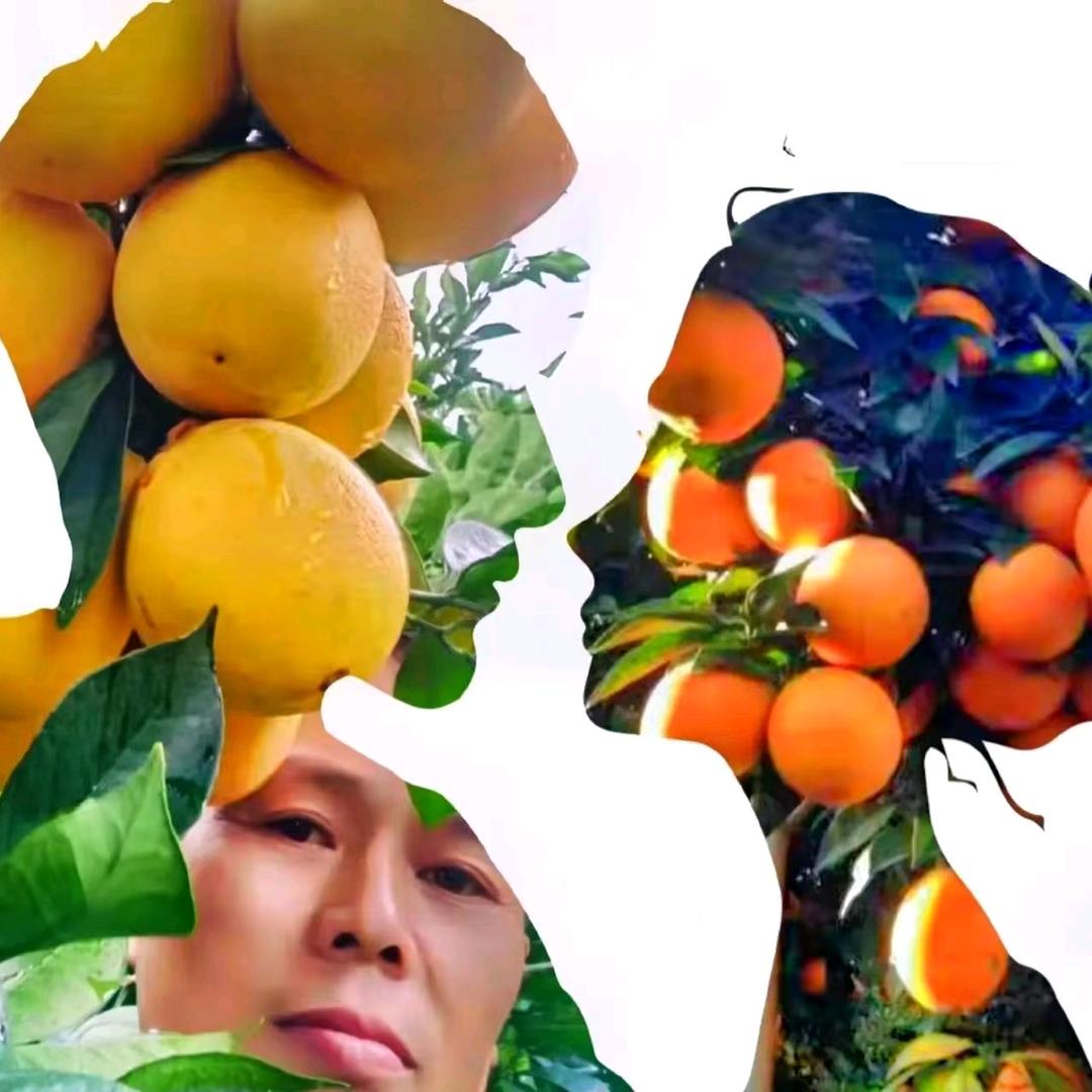 果树修剪，真名:刘万红