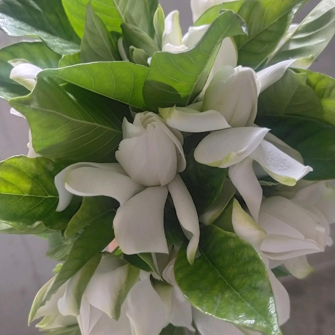 ❤累了谁来❤疼