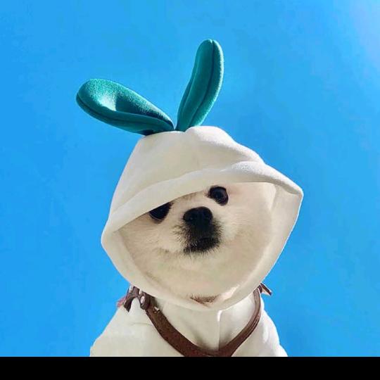 我想你了
