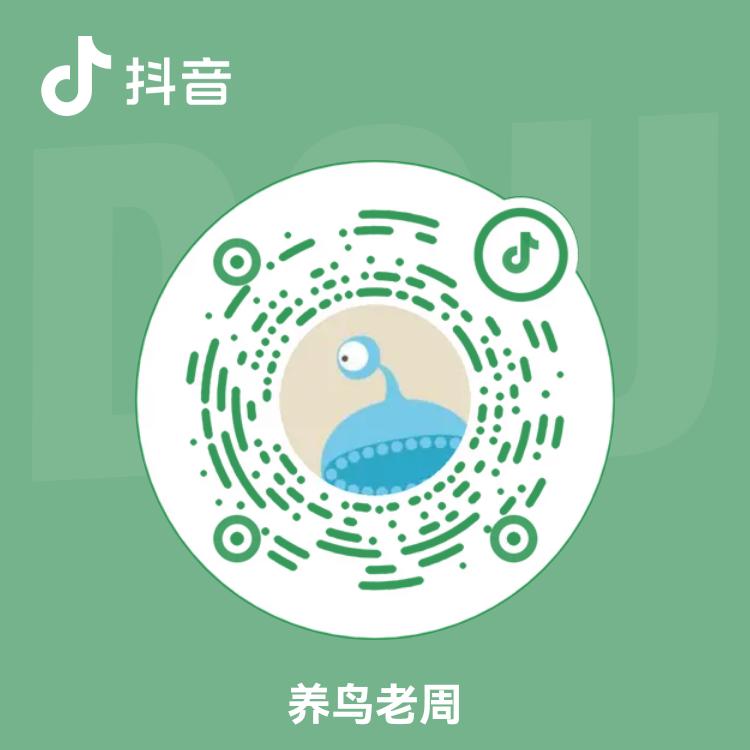 养鸟老周