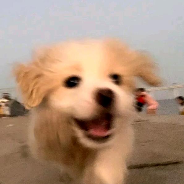 李最有理