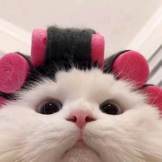 阿钰妹