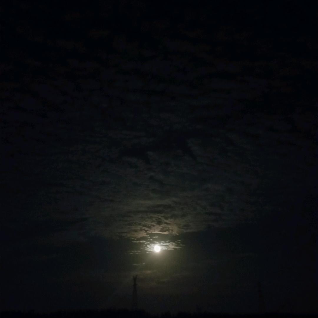 ％空白格