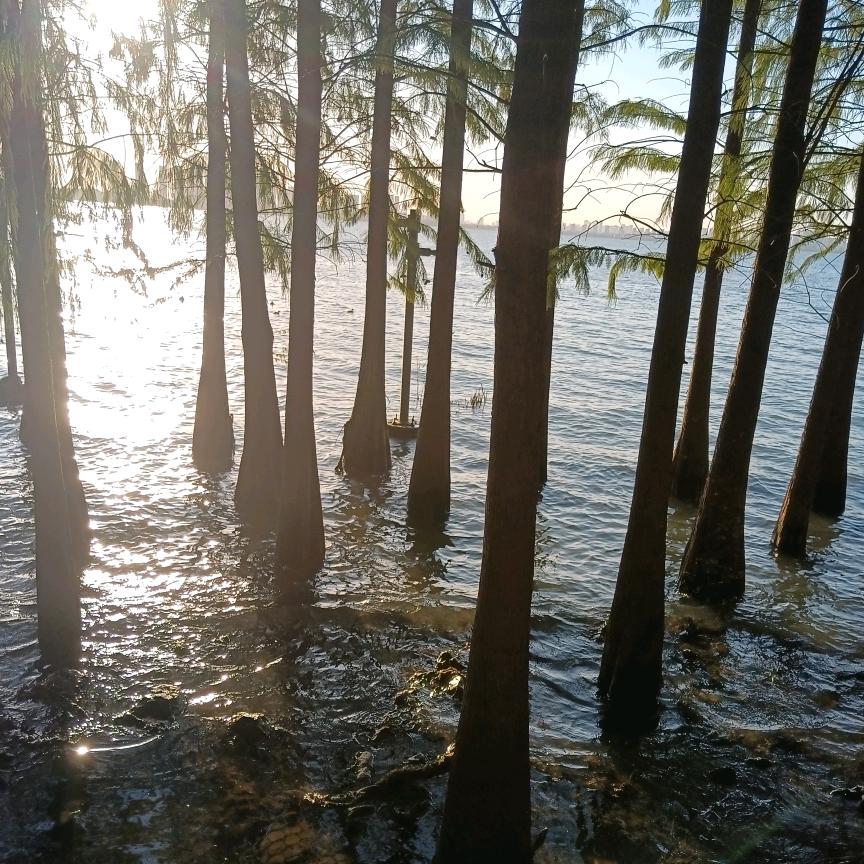 开着吉利跑滴滴的张张（励志版）