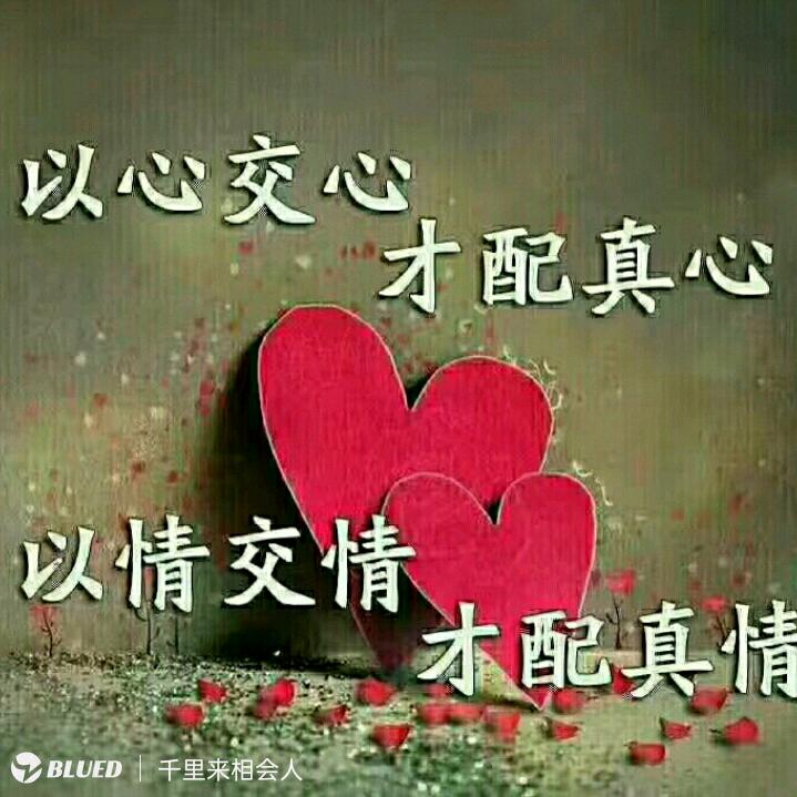 放飞梦想