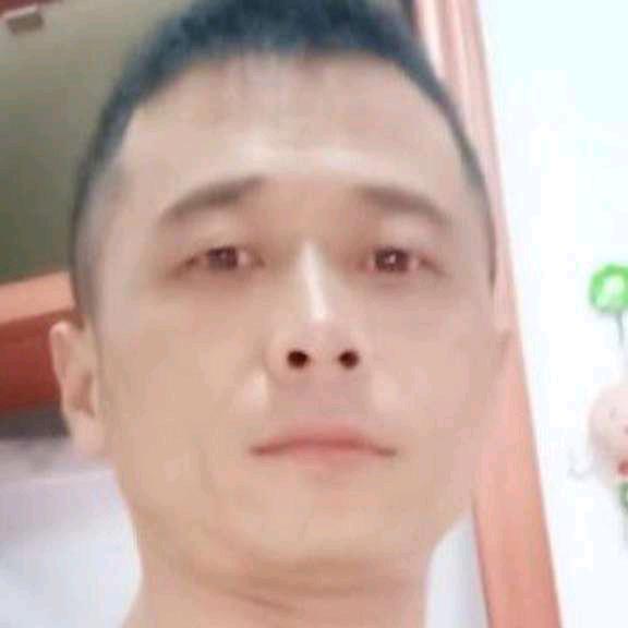 49341740733