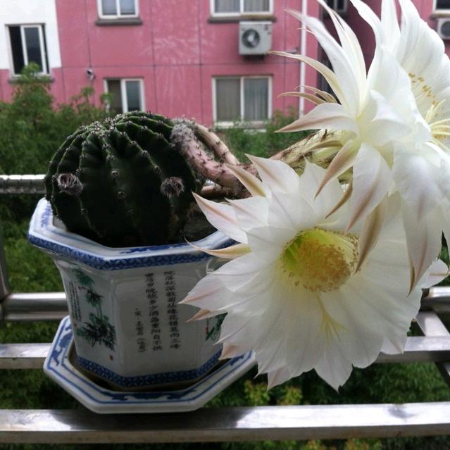 书有路