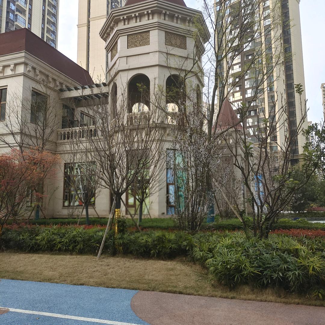 神圣向往未来