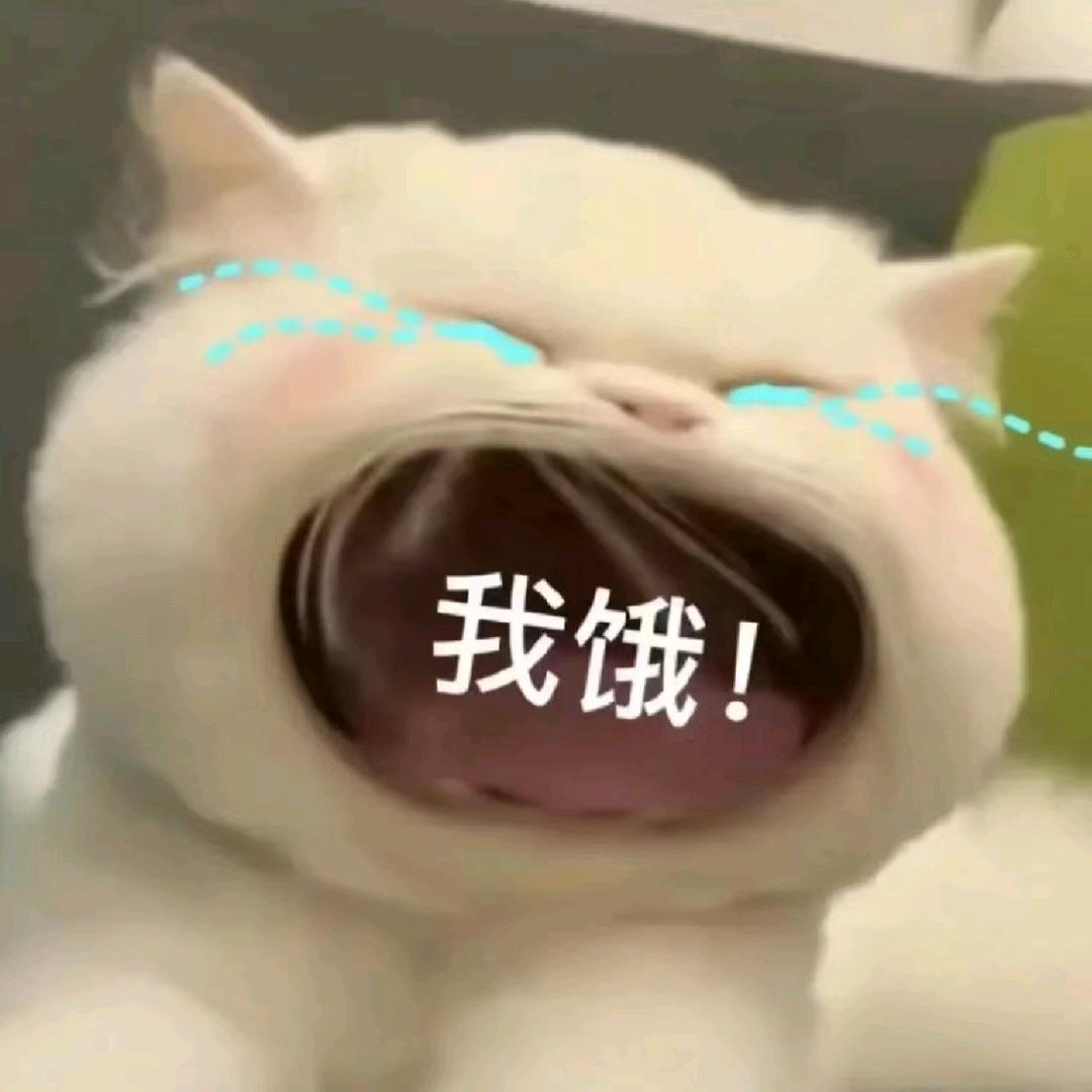 禹过添情