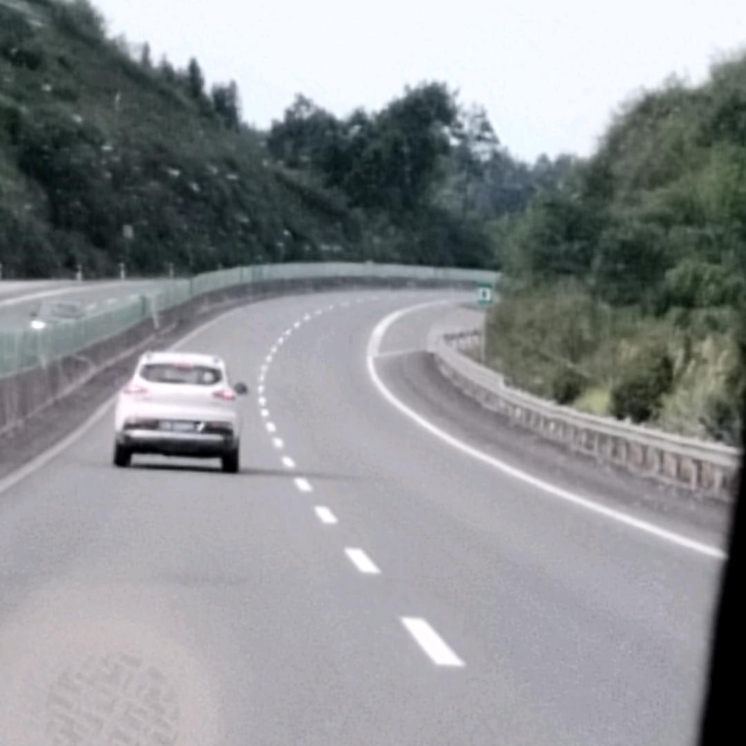 刘歌