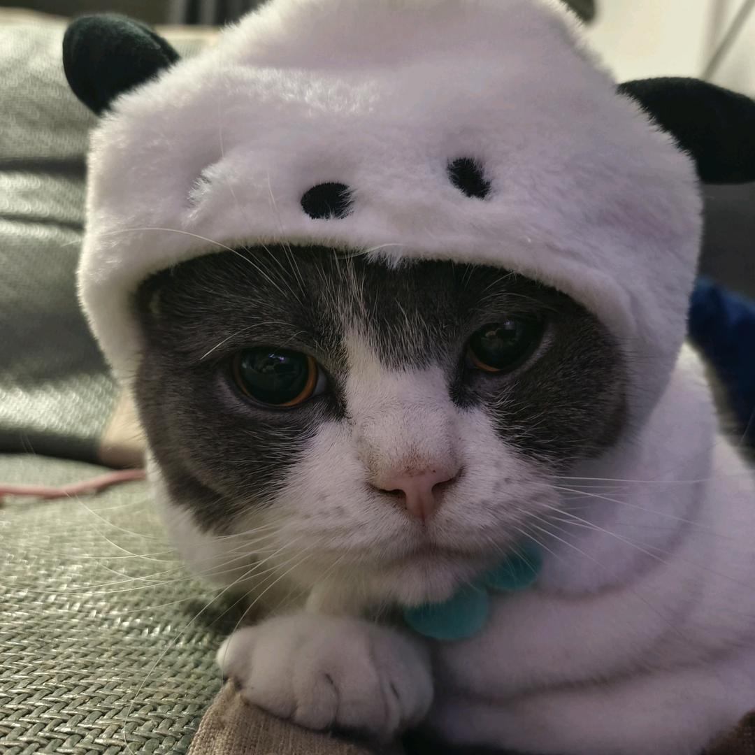 保利汽车专修