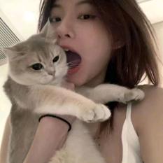 titi