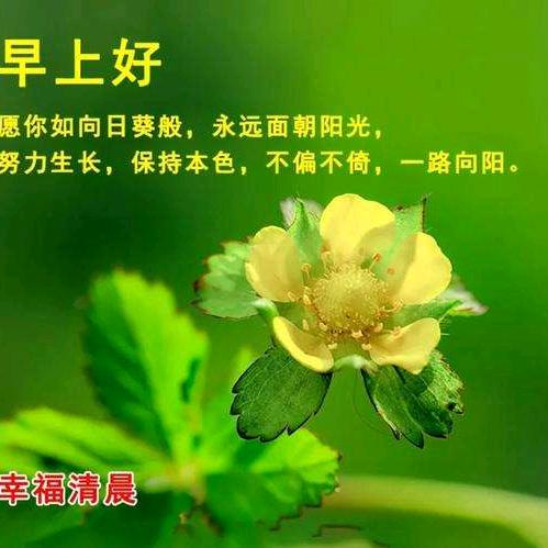 独自去流泪