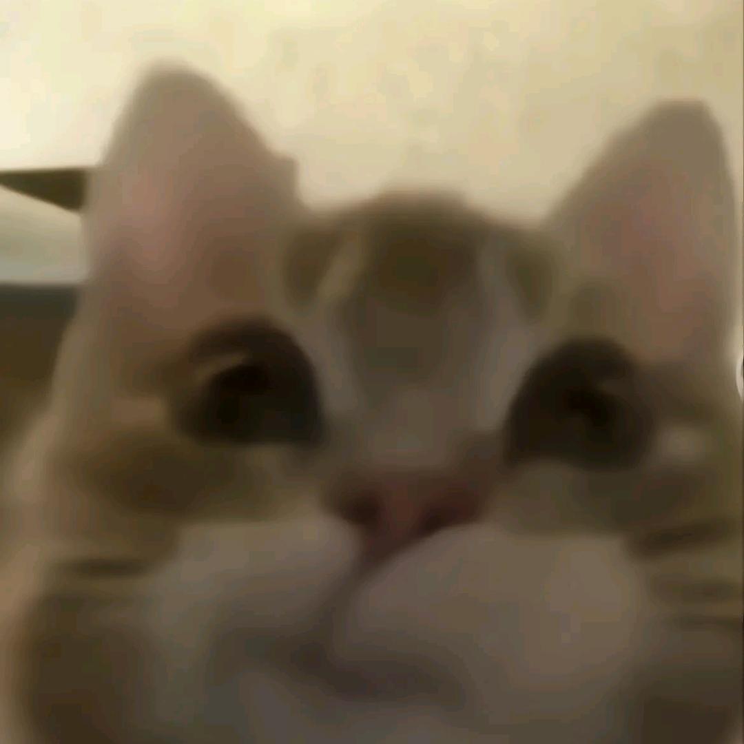 晚