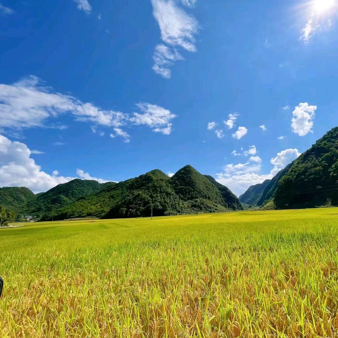 同德小主播