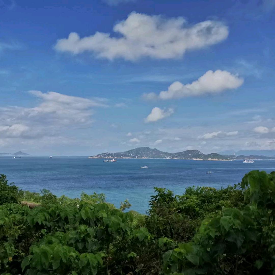 清风拂山岗！《晚上8点半开播》