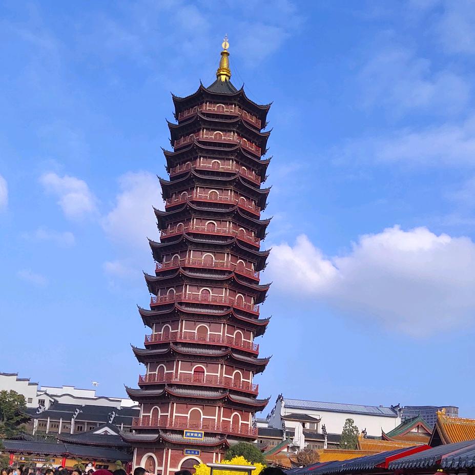 浙江打工人